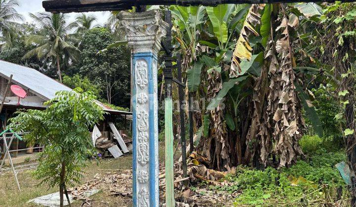 Tanah Murah Aset BRI, Sungai Raya, Kab. Hulu Sungai Selatan 2