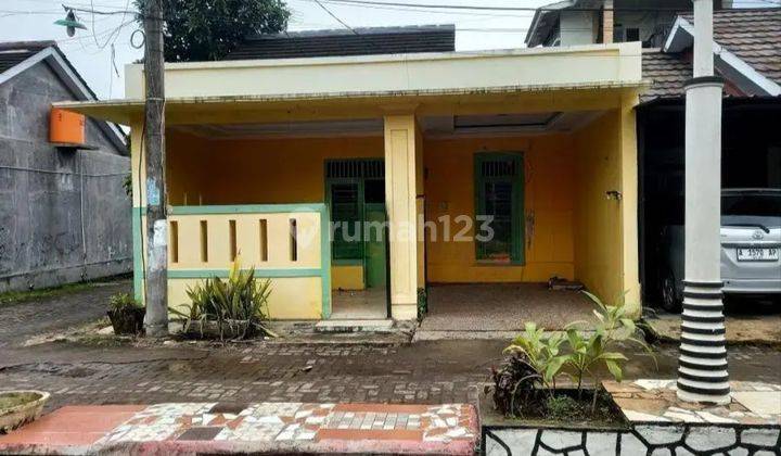 Rumah Murah di Daerah Serang, Serang 1