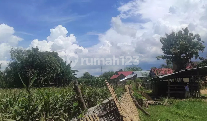 Tanah Murah di Daerah Bolo, Bima