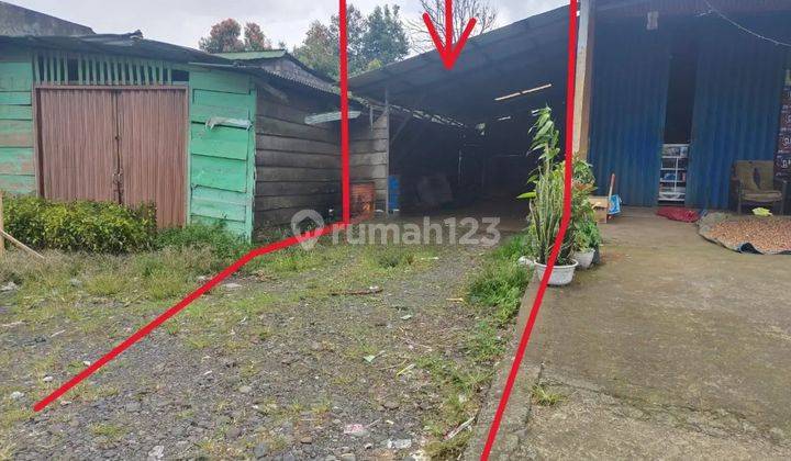 Tanah Murah di Daerah Tigo Nagari, Pasaman
