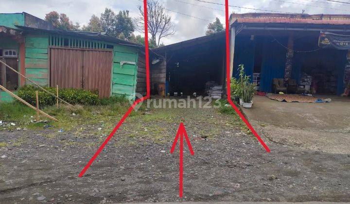 Tanah Murah di Daerah Tigo Nagari, Pasaman