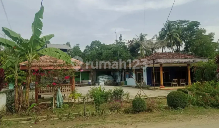 Rumah Murah Aset BRI, Trimurjo, Lampung Tengah