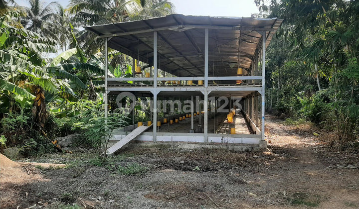 Ruang Usaha Murah di Daerah Adimulyo, Kebumen