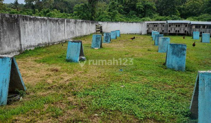 Tanah Murah Aset BRI, Suli, Kab. Luwu 2
