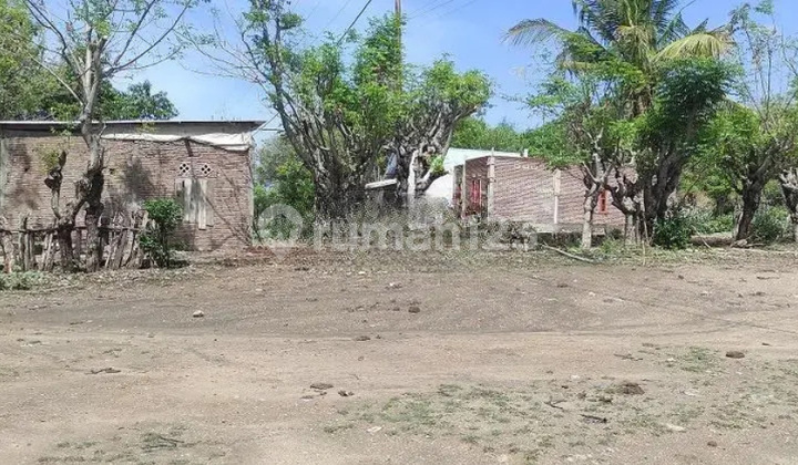 Tanah Murah di Daerah Wera, Bima