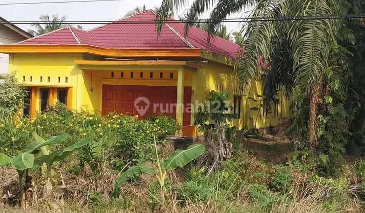 Komersial Murah Aset BRI, Bunga Raya, Kab. Siak
