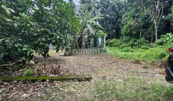Tanah Murah Aset BRI, Sungai Raya, Kab. Hulu Sungai Selatan 1