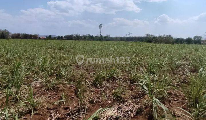 Tanah Murah di Daerah Pemalang, Pemalang