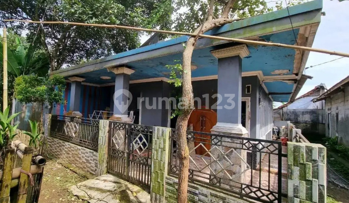 Rumah Murah Aset BRI, Dramaga, Kab. Bogor 2