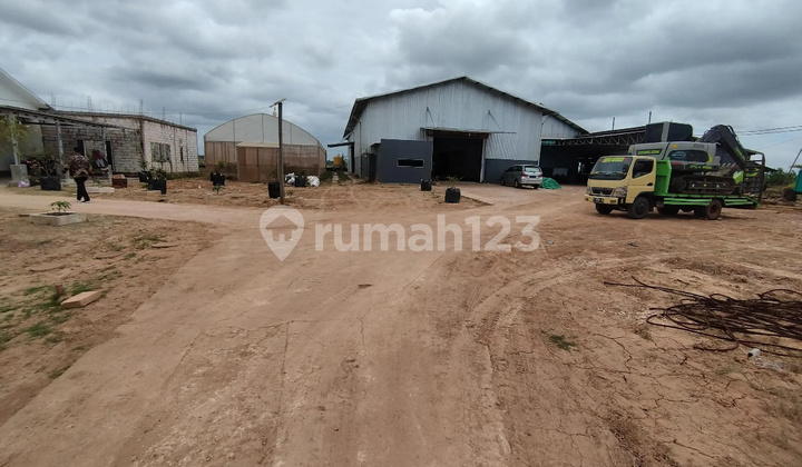 Komersial Murah Aset BRI, Tanah Miring, Kab. Merauke