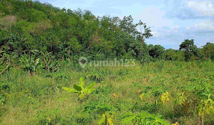 Tanah Murah di Daerah Bermani Ilir, Kepahiang