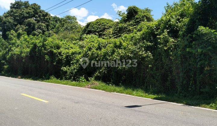 Tanah Murah Aset Bri, Salahatu, Kab. Maluku Tengah 2