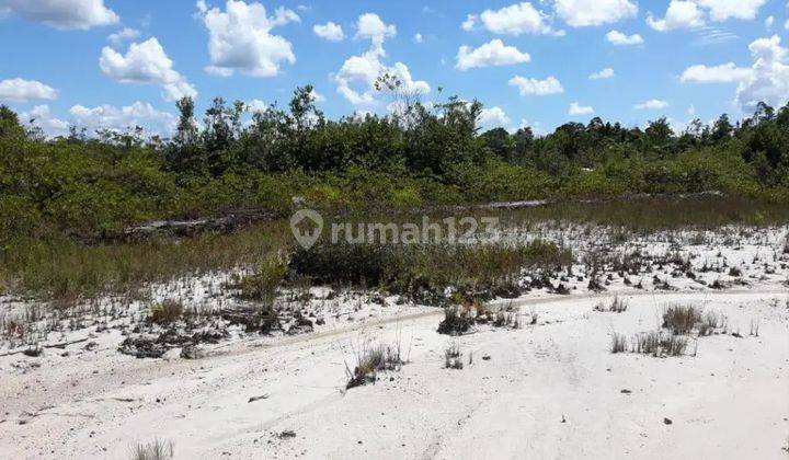 Tanah Murah di Daerah Kelam Permai, Sintang