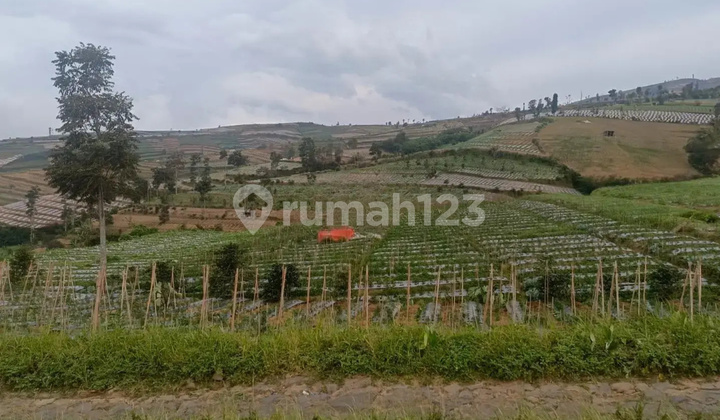 Tanah Murah di Daerah Kledung, Temanggung