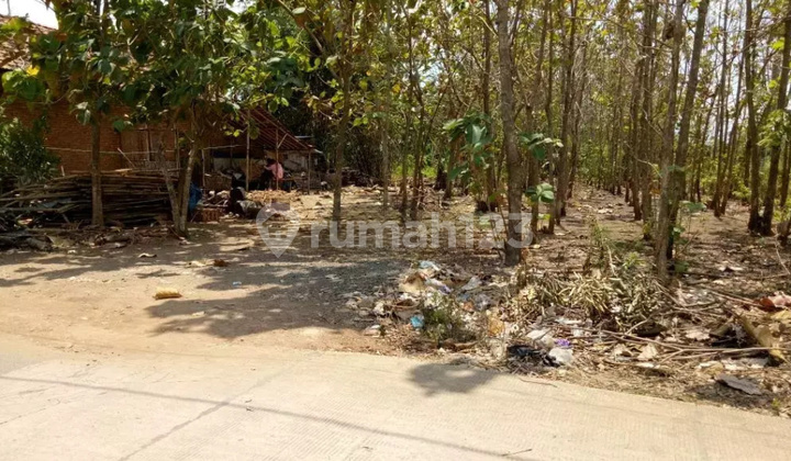 Tanah Murah di Daerah Mejobo, Kabupaten Kudus Tanah Murah di Daerah Mejobo, Kabupaten Kudus