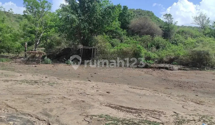 Tanah Murah di Daerah Wera, Bima