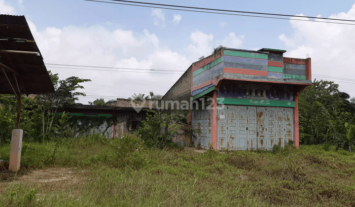 Komersial Murah Aset BRI, Rimba Melintang, Kab. Rokan Hilir