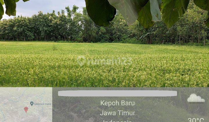 Tanah Murah Aset BRI, Kepohbaru, Kab. Bojonegoro 2