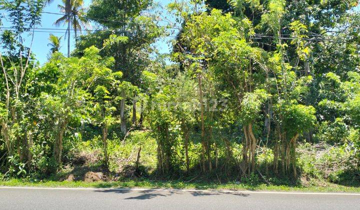 Tanah Murah Aset Bri, Salahatu, Kab. Maluku Tengah