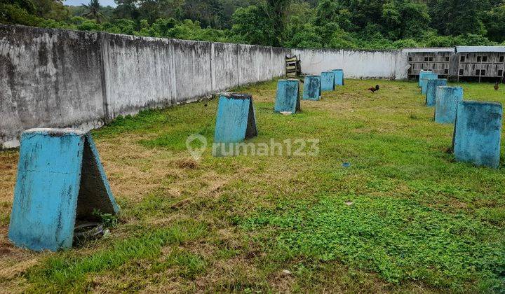 Tanah Murah Aset BRI, Suli, Kab. Luwu 1