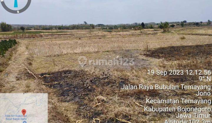 Tanah Murah Aset BRI, Bubulan, Kab. Bojonegoro 2