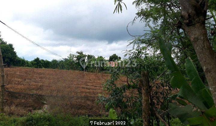 Tanah Murah Aset BRI, Kedungadem, Kab. Bojonegoro 2