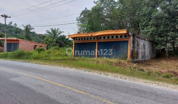 Komersial Murah Aset BRI, Singingi, Kab. Kuantan Singingi