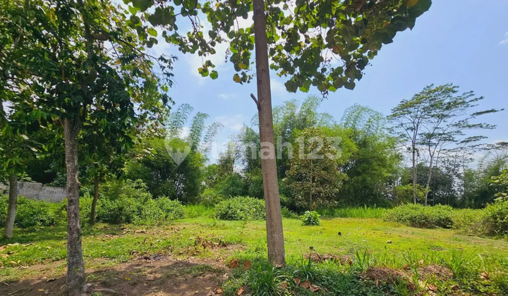 Tanah Murah Aset BRI, Plosoklaten, Kab. Kediri