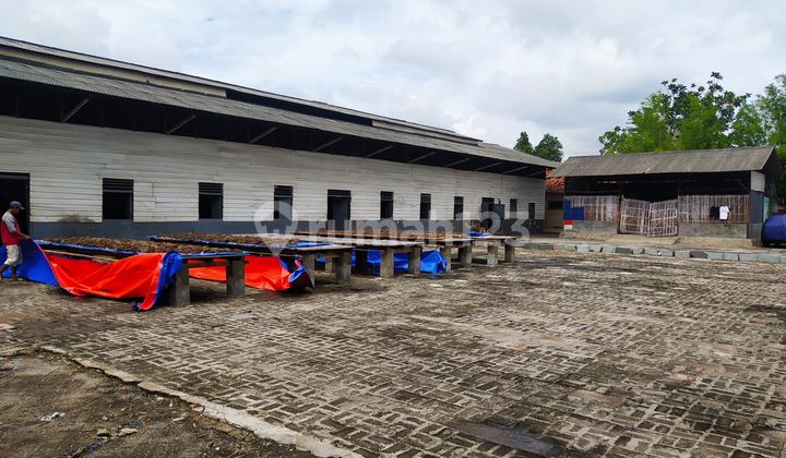 Former Factory in Tegal Alur, Kalideres, West Jakarta Industrial or Warehouse Zone Former Factory in Tegal Alur, Kalideres, West Jakarta Industrial or Warehouse Zone