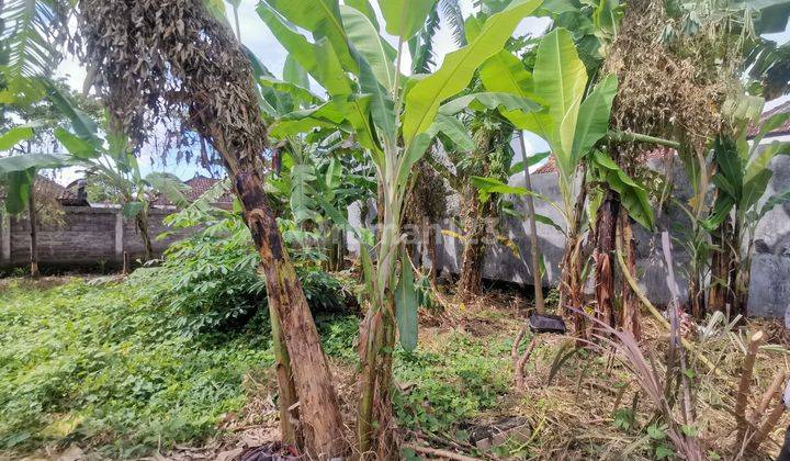 Dijual Tanah di Denpasar Selatan, Denpasar 3,81 Are 2