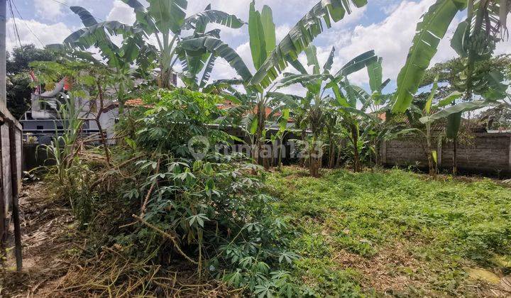 Dijual Tanah di Denpasar Selatan, Denpasar 3,81 Are 4