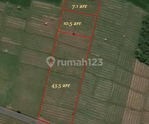 Dijual Lahan Lokasi Jembrana 1