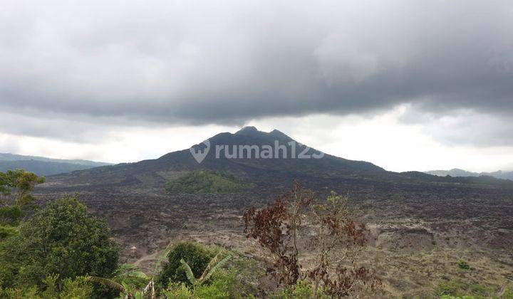 Tanah Dijual Lokasi Kintamani 1