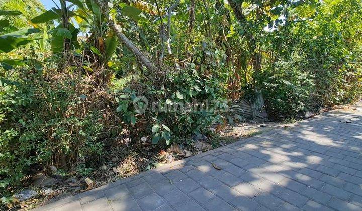 Land for rent in Sanur  2