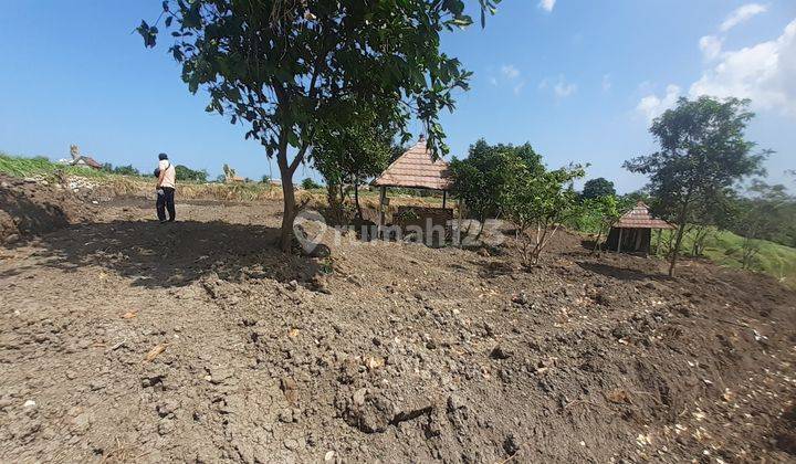 Leasehold Land Location Near Greenlot At Munggu Cemagi Mengwi  2