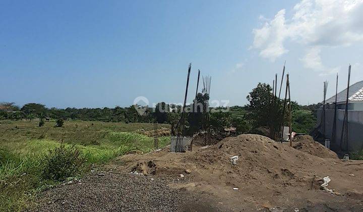 Leasehold Land Location Near Greenlot At Munggu Cemagi Mengwi  1