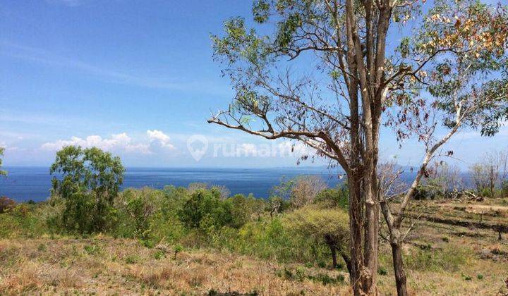 DIJUAL TANAH DI DESA NUASA NUSA PENIDA DIRECT OCEAN VIEW 1