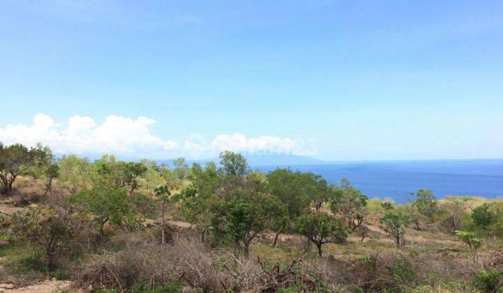 DIJUAL TANAH DI DESA NUASA NUSA PENIDA DIRECT OCEAN VIEW 2