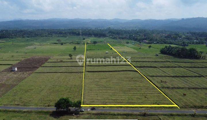 Land for sale in Jembrana City, close to the beach, 63 Are 1