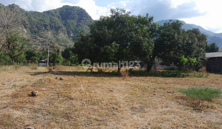 For Sale Land in Front of Pemuteran Beach 42.7 Ara Sea and Mountain View 2