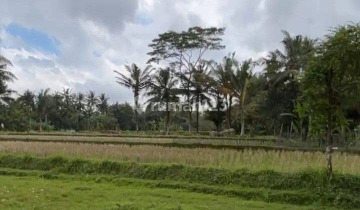 Land For Leasehold Pejeng Kangin Tampak Siring Near Inter School 2