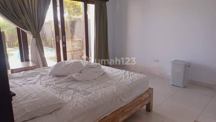 Villa For Rent On The West Side Bypass Sanur With Ricefields View 2