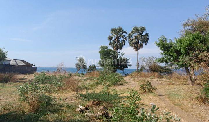 For Sale Land in Front of Pemuteran Beach 42.7 Ara Sea and Mountain View 1