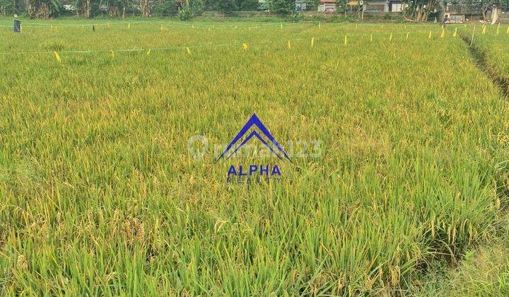 Dijual Tanah Cocok Untuk Dijadikan Perumahan Kota Bandung 4