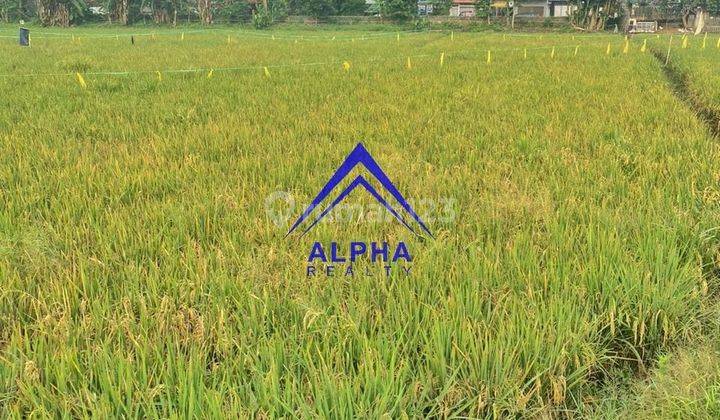 Dijual Tanah Cocok Untuk Dijadikan Perumahan Kota Bandung 5