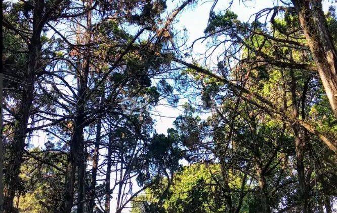 Sewa Ruang Usaha di Tubagus Ismail Bandung Kota Vibes Alam 2