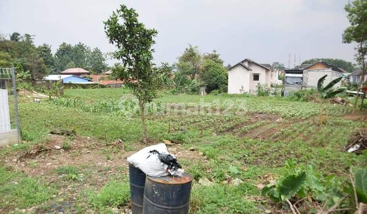 Tanah Hunian Dekat Kampus IPB 2