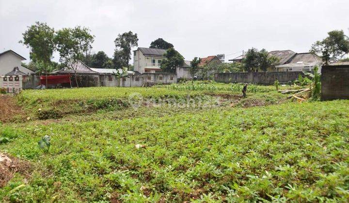 Tanah Hunian Dekat Kampus IPB 3
