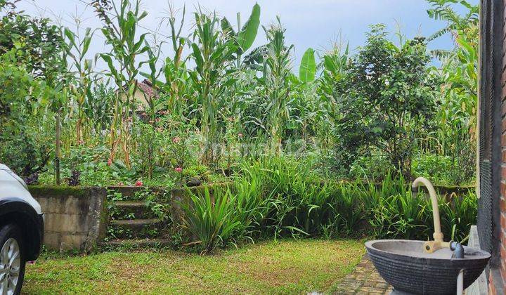 Rumah Kebun View Gunung Salak 2