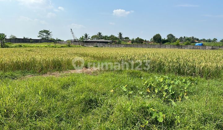 Dijual Tanah Komersial Luas 67000m Jonggol Jawa Barat (fc) Dijual Tanah Komersial Luas 67000m Jonggol Jawa Barat (fc)